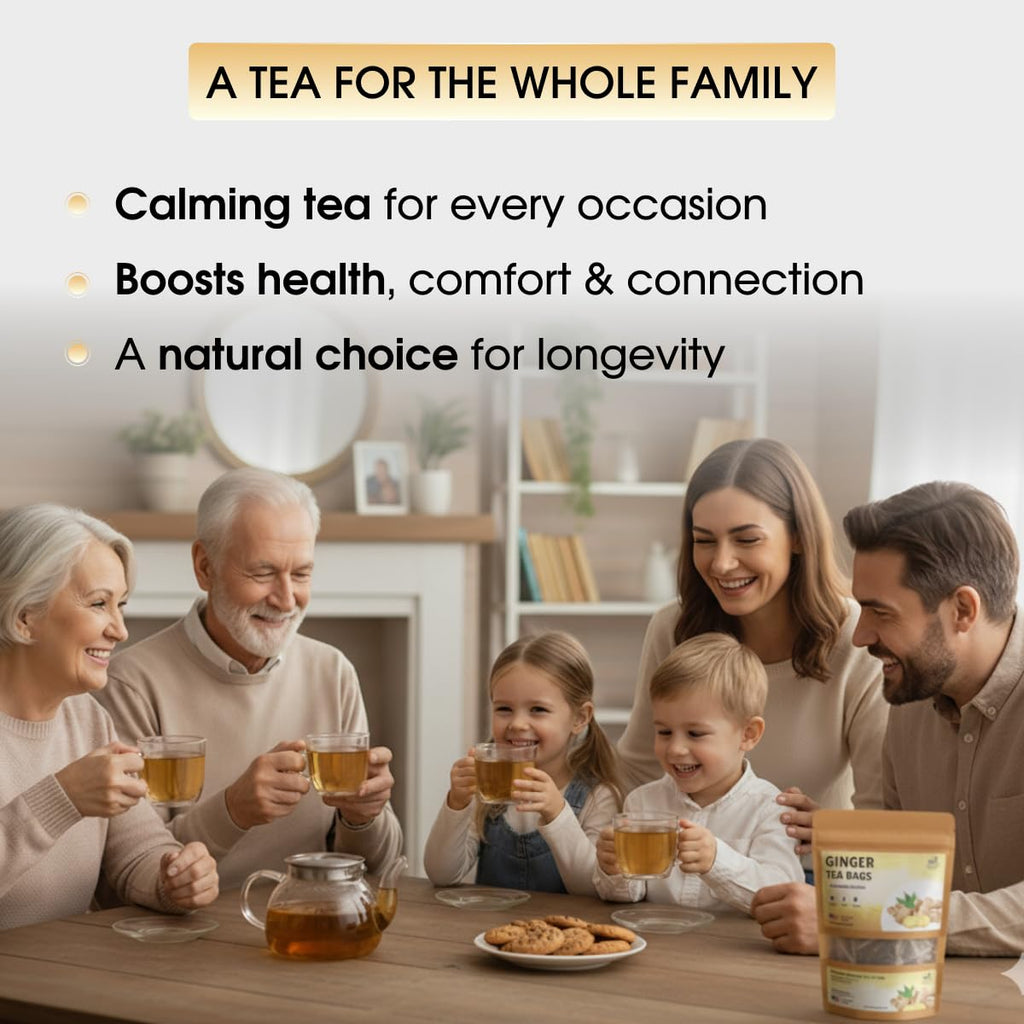 TeaDreamTea Ginger Tea Bags - 100 Bleach-Free Tea Bags | Caffeine Free, Antioxidant, Calms Upset Stomach - Strengthen Immune System - Herbal Ginger Tea