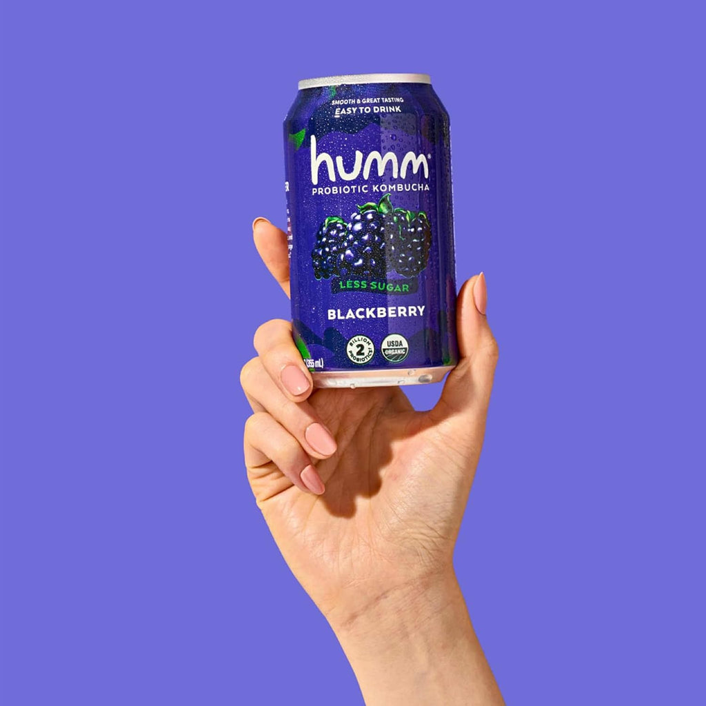 Humm Kombucha Blackberry, Organic, Vegan & GMO Free (24 Pack)