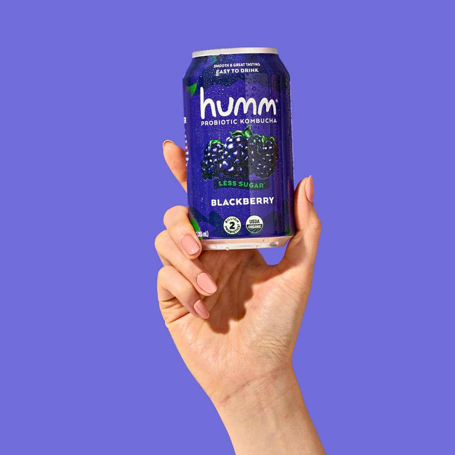 Humm Kombucha Blackberry, Organic, Vegan & GMO Free (24 Pack)