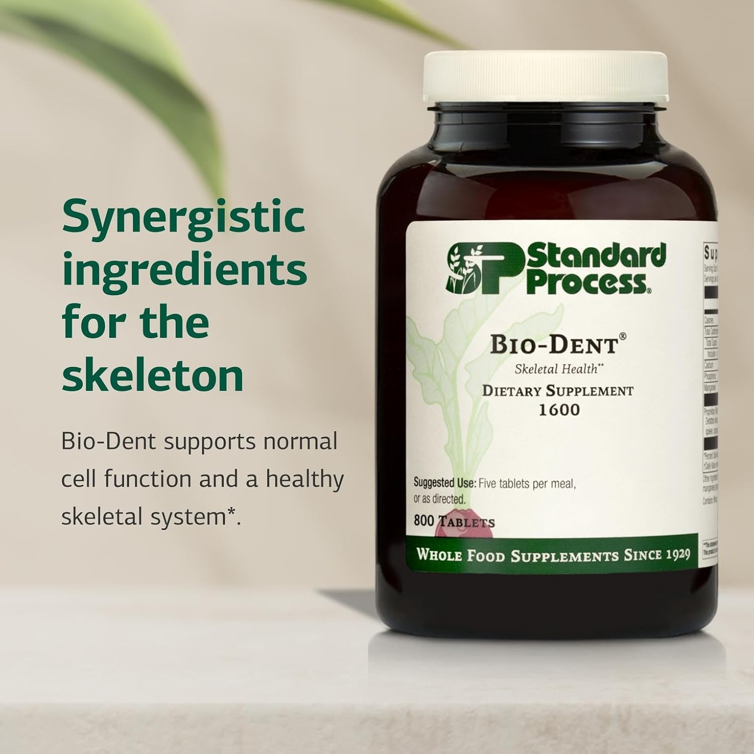 Standard Process Inc. Bio-Dent - Whole Food Supplement for Skin, Muscle, and Bone Health - Calcium, Licorice Root, Manganese, Phosphorus - 800 Tablets