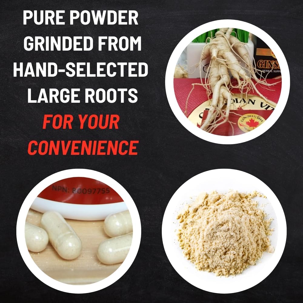 Ginseng Supplement 500mg - 60 Capsules - Pure Canadian Ginseng Root Powder - Energy | Focus | Immune Support - Authentic Ontario Farm Ginseng