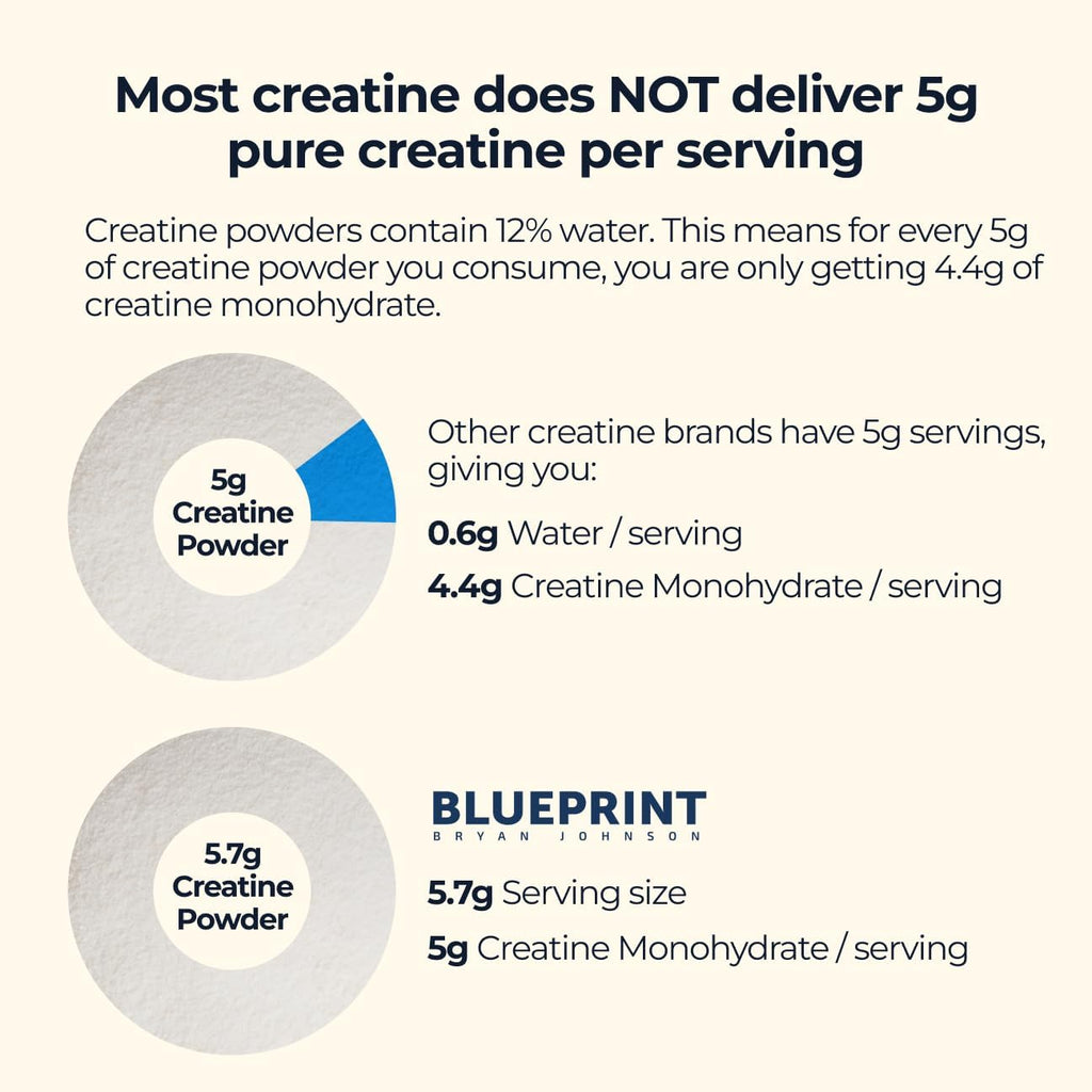 Blueprint Bryan Johnson Creatine Monohydrate Powder – Amino Acid Powder - Suppliment Supports Muscle Growth, Recovery, Strength & Focus – Unflavored Creatine for Women & Men – 5g Dose – 100 Servings