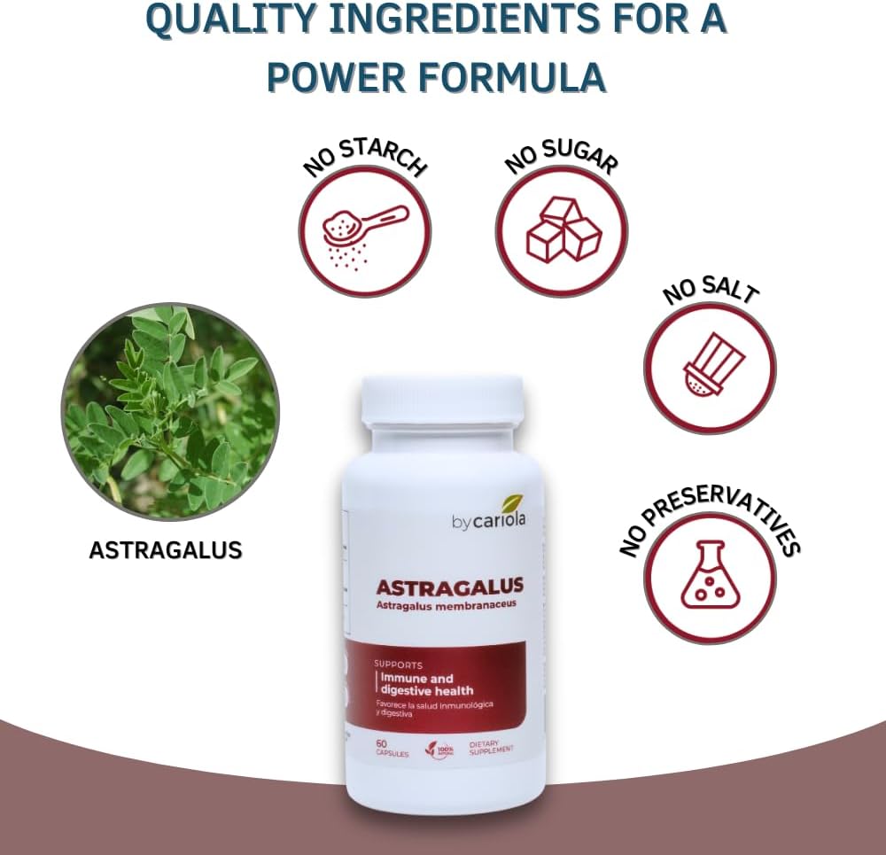 Astragalus Root Capsules - Immune & Digestive Support Supplement - Natural Formula, Boosts Energy, Improves Digestion - Astragalus Membranaceus Extract - 60 Count (30 Servings)
