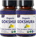 Gokshura 120 Tablets | Tribulus Terrestris (Gokshura) | USDA Organic Certified| Supports Immunity and Strength | Organic and Natural 120tab - Pack of 2