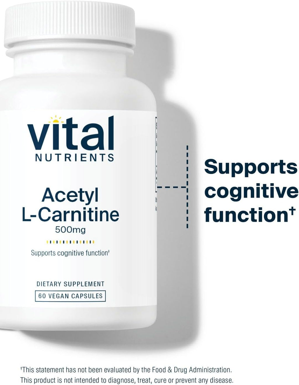 Vital Nutrients Acetyl L-Carnitine 500mg | Brain, Memory, and Cognitive Support Supplement* | Vegan | Gluten, Dairy, Soy Free | Non-GMO | 60 Capsules