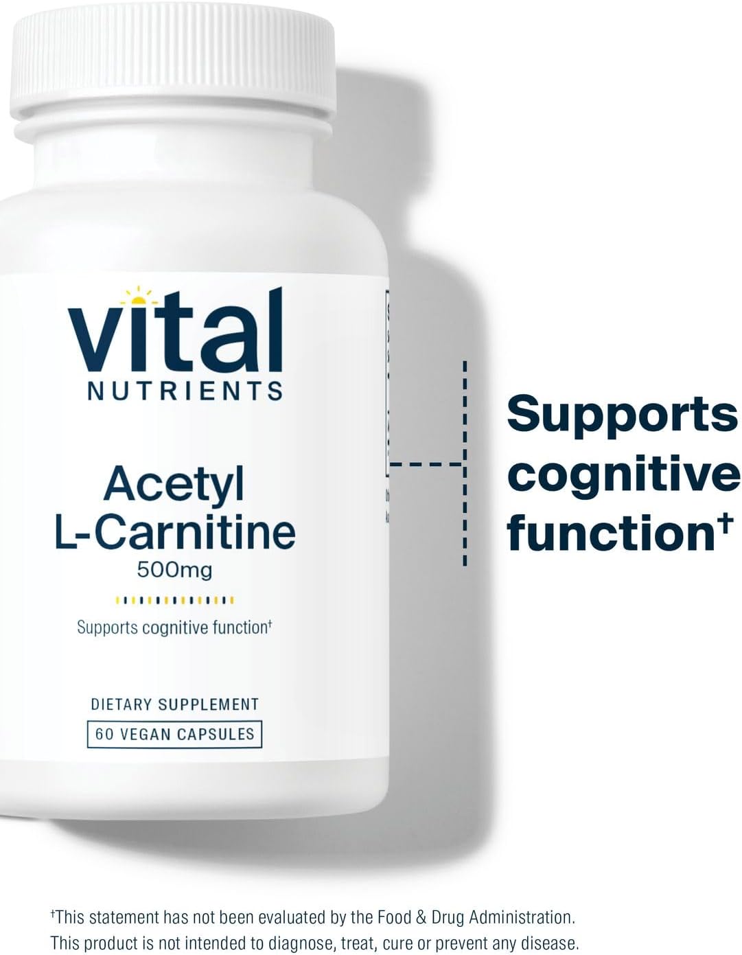 Vital Nutrients Acetyl L-Carnitine 500mg | Brain, Memory, and Cognitive Support Supplement* | Vegan | Gluten, Dairy, Soy Free | Non-GMO | 60 Capsules