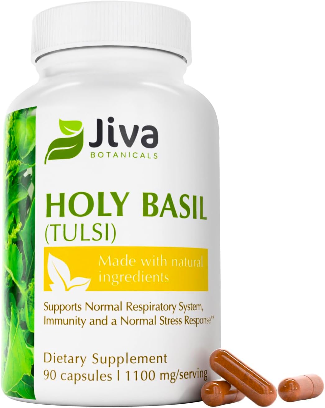 Jiva Botanicals Holy Basil Capsules - Premium Holy Basil Extract with Tulsi Powder - Ayurvedic Herb Alternative to Tincture -90 Vegan Capsules