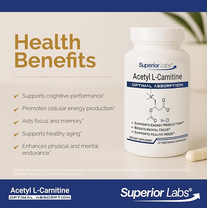 Superior Labs Acetyl L-Carnitine 500 mg, High Potency ALCAR, Pure Non-GMO, Zero Synthetic Additives, Maximum Absorption, Energy & Fat Metabolism, Brain, Nerve & Cellular Detox Support, (60 Veg Caps)