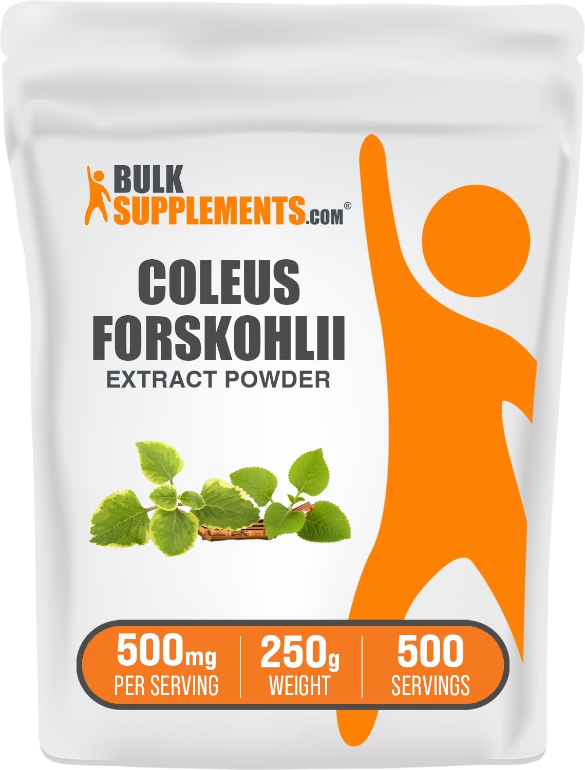 BulkSupplements.com Coleus Forskohlii Extract Powder - Forskolin Supplement, Forskolin Powder - Herbal Supplement, Gluten Free, 500mg per Serving, 250g (8.8 oz) (Pack of 1)
