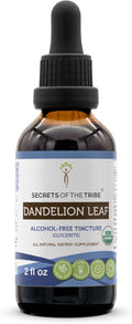 Secrets of the Tribe Dandelion Leaf USDA Organic | Alcohol-Free Extract, High-Potency Herbal Drops, Digestive System | Made from 100% Certified Organic Taraxacum Officinale Dried Leaf 2 oz