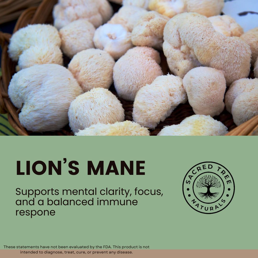 Organic Lion's Mane Mushroom Capsules - 1,000mg High Potency - Brain Boost, Focus & Immune Support - Non-GMO, Vegan, 60 Count