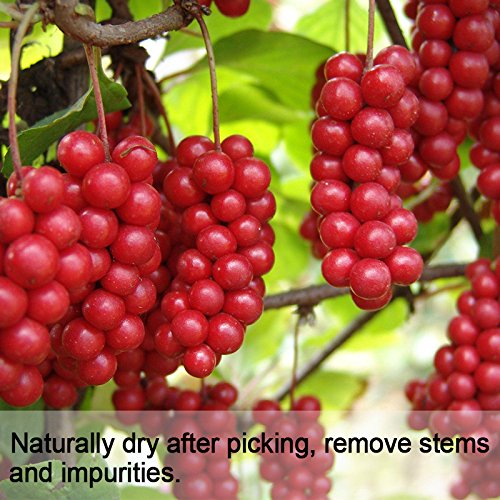 Wananfu Schisandra Berry Dried 17.6oz, Schizandra Berries for Tea, Wuweizi (北五味子)