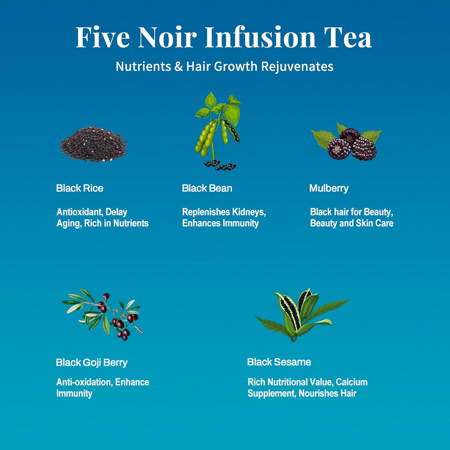 Five Noir Herbal Tea Bag for Immunity Energy, Five Treasure Tea Kidney Teas, Leafberry Wellness Functional Herbal Tea Hair Growth Rejuvenates Natural Black Rice Beans Mulberries Gift Box 10 Bags