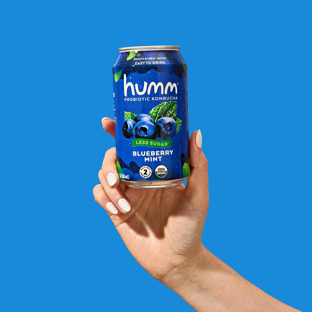 Humm Kombucha Blueberry Mint, Organic, Vegan & GMO Free (12 Pack)