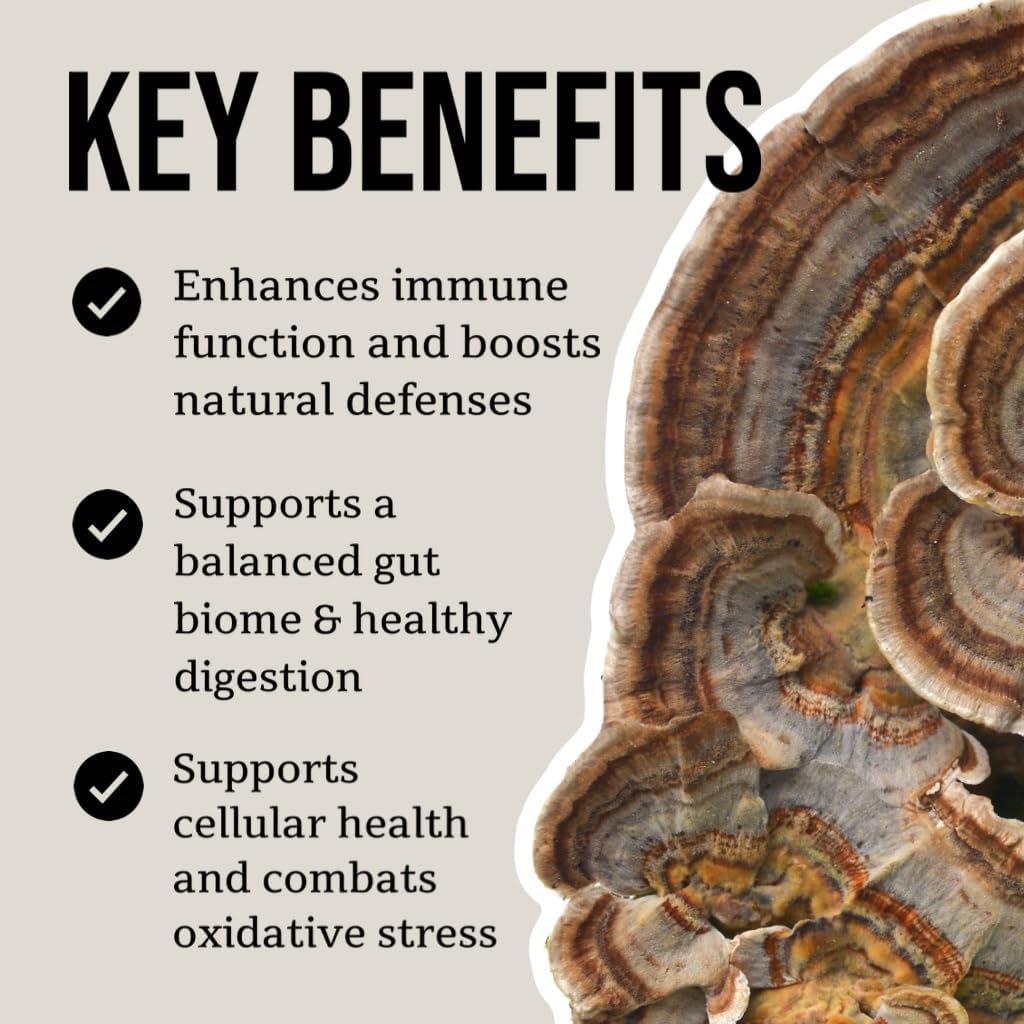 North Spore Organic Turkey Tail Tincture | Mushroom Supplement for Immune Wellness | Sustainably Grown & Confirmed for Potency | Trametes Versicolor Extract | Vegan, Non-GMO - 2oz