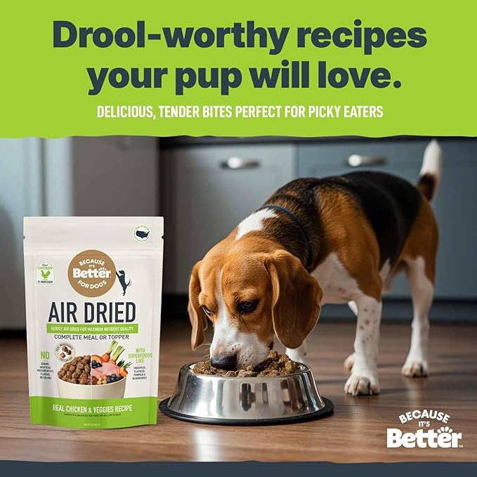 Because It's Better Slow Baked and Air Dried Dog Food, Real Chicken and Veggies, 1lb Bag, Complete and Balanced Dry Dog Food, for All Life Stages