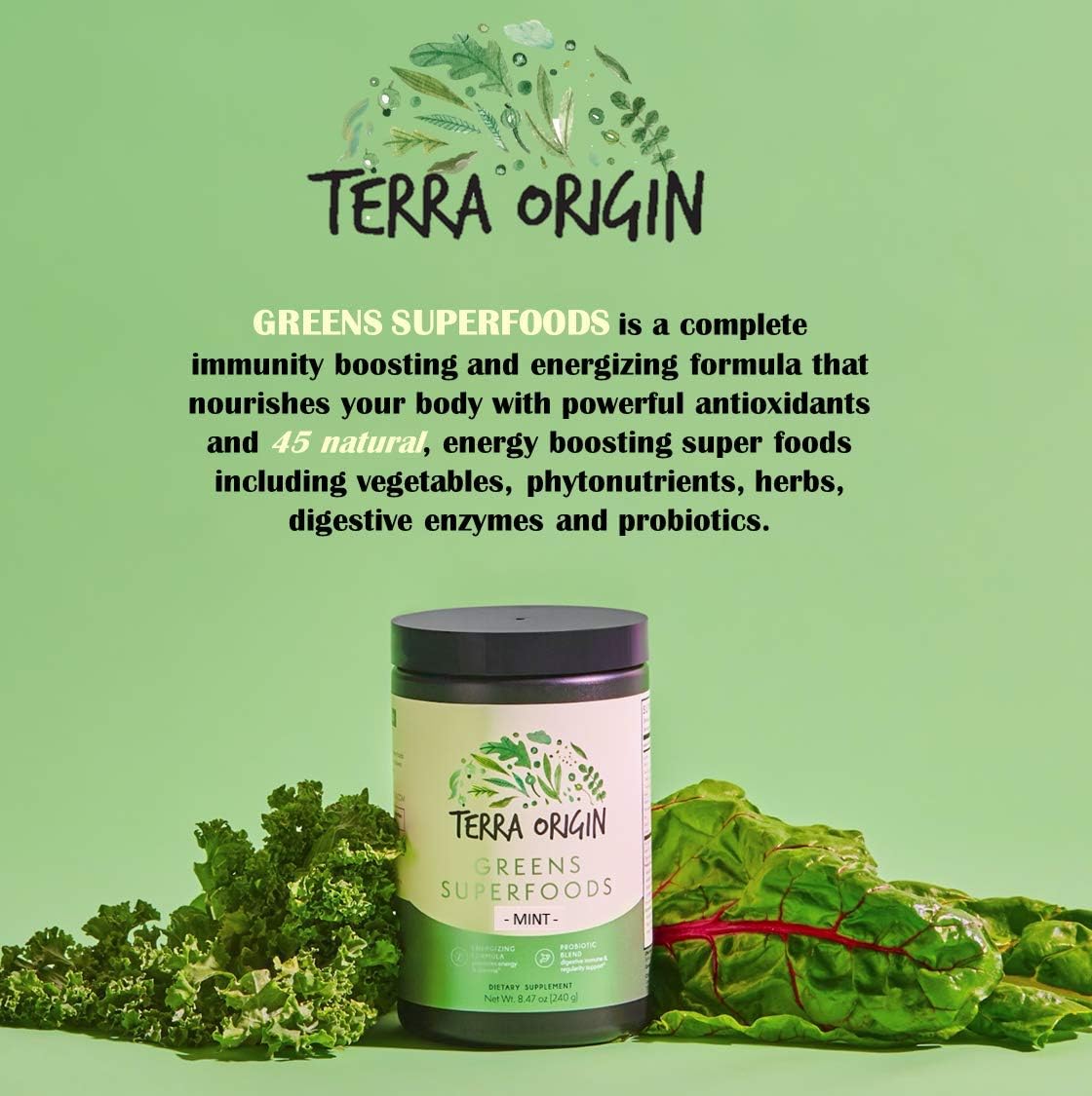 TERRA ORIGIN Superfoods Greens for Immune Defense and Digestive Support | with Spirulina, Probiotics, Organic Vegetables, Digestive Enzymes | Non-GMO | 30 Servings | Mint Flavor