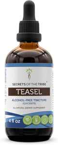 Secrets of the Tribe Teasel Alcohol-Free Liquid Extract, Teasel (Dipsacus fullonum, Dipsacus sylvestris) Dried Root (4 FL OZ)