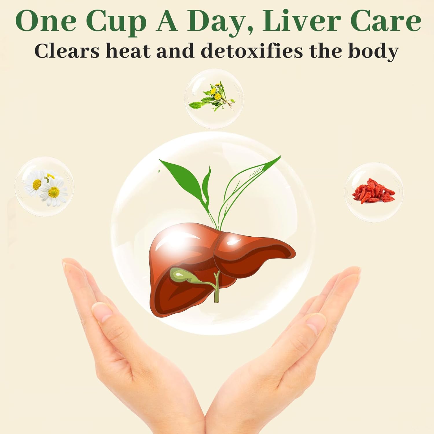 Liver & Kidney Detox Tea - Dandelion Wolfberry Tea, 7 Herbal Ingredients Blend, Goji Berry Chrysanthemum Chinese Cassia Seed Kidney Cleanse (1)