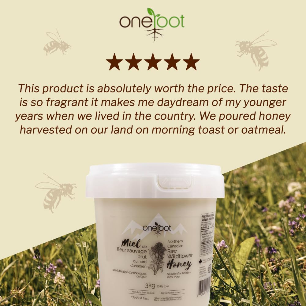 Oneroot 100% Canadian Wildflower Honey - 6.6 lbs, Unheated & Creamed - Nutrient-Rich, Natural Sweetener with Enzymes - Thick & Pure Raw Unfiltered Honey