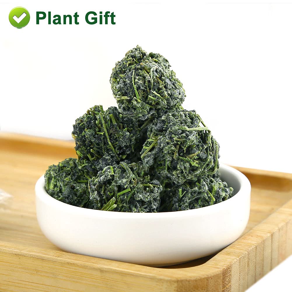 Gynostemma Tea - Jiaogulan Tea 100/3.52 OZ – 100% Natural Dried Loose Leaf Tea,No Additive.