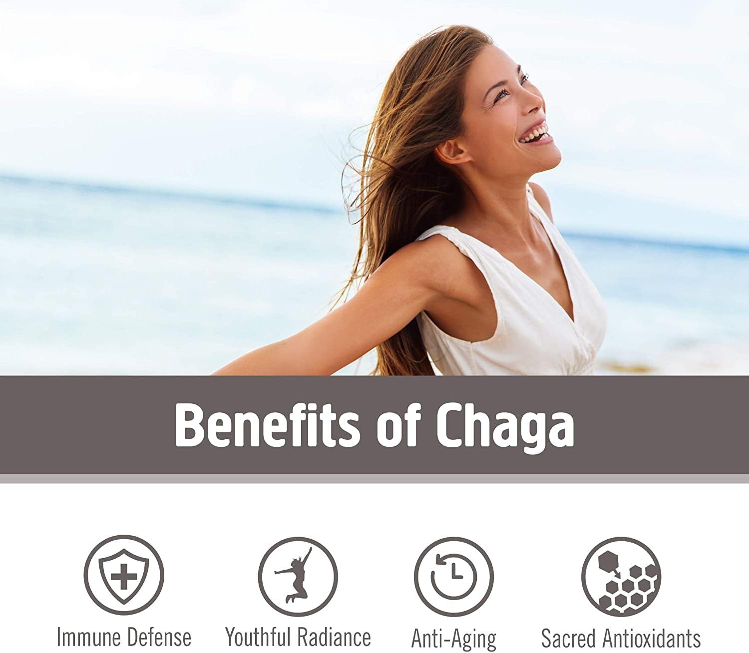 OM MUSHROOM SUPERFOOD Chaga Organic Mushroom Powder, 3.5 Ounce, 50 Servings, US Grown, Sacred Antioxidants & Immune Support, Superfood Mushroom Supplement