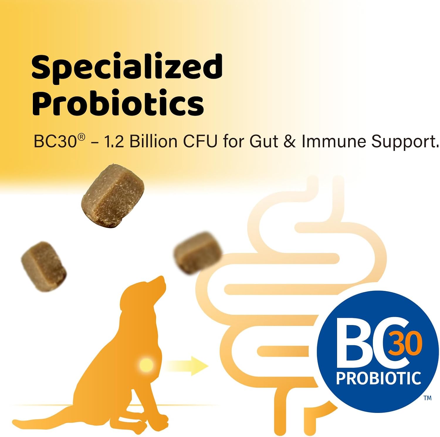 iPaw Daily Probiotic Chews for Dogs, 120 Million CFU, Probiotics Treat for Dogs' Digestive Health, Gut Health, Support Immune System, Made in USA, Duck Flavor (90 Chews)