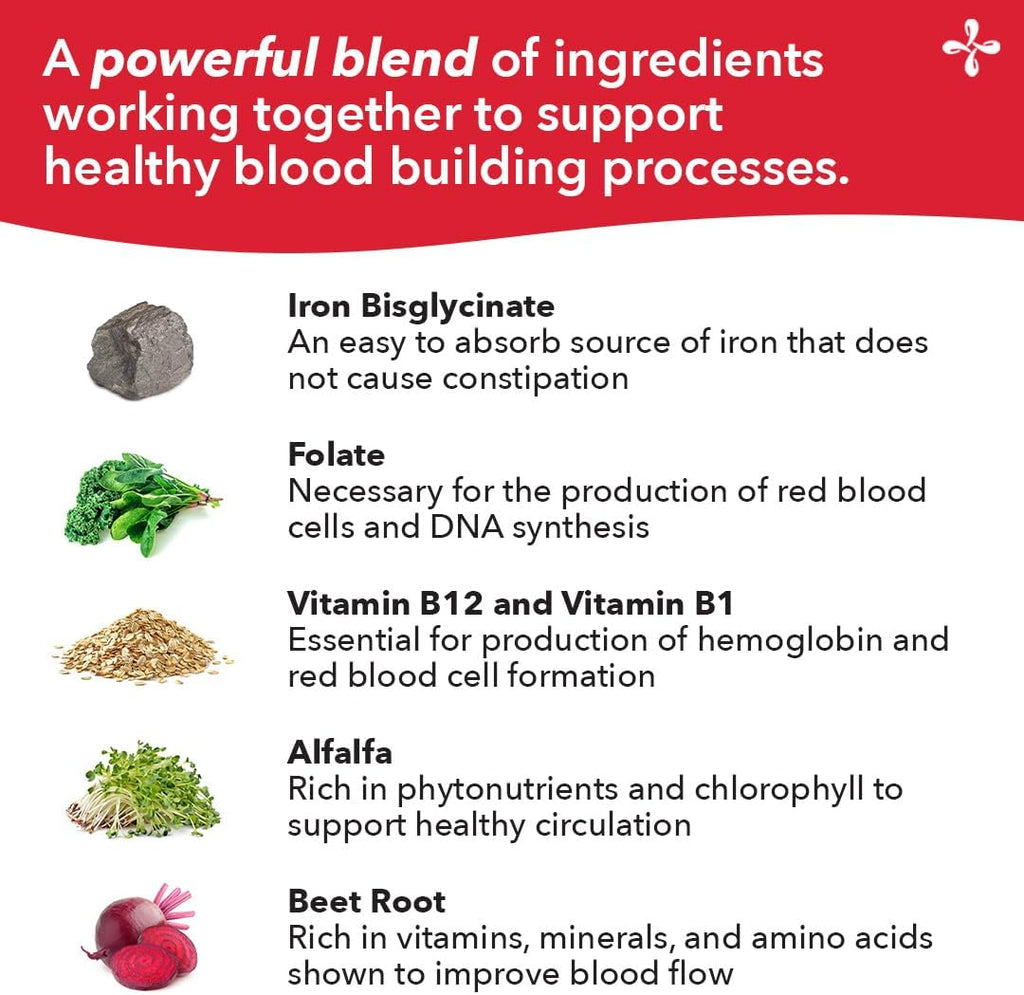 LifeSeasons Blood Nourish-R - Iron Supplement - Non Constipating - Supports Anemia, Fatigue, Paleness & Dizziness - Blood Building - Iron, Alfalfa, Raspberry & Vitamin B-12-60 Capsules (Pack of 2)