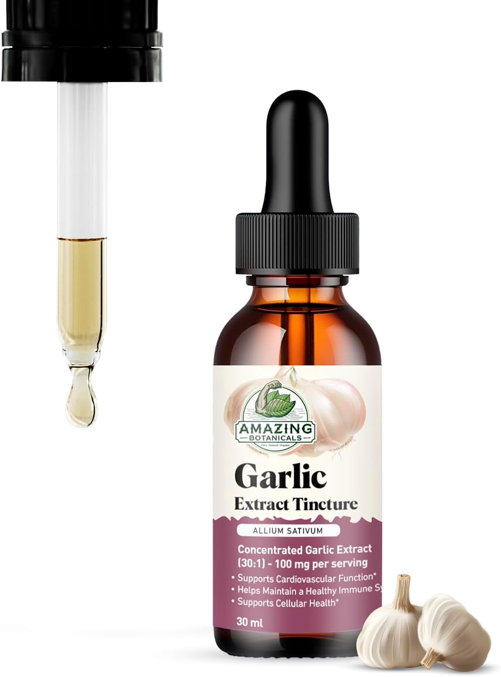 Amazing Botanicals Garlic Tincture – Allium Sativum Herbal Extract – High Potency Liquid Supplement – (1oz)