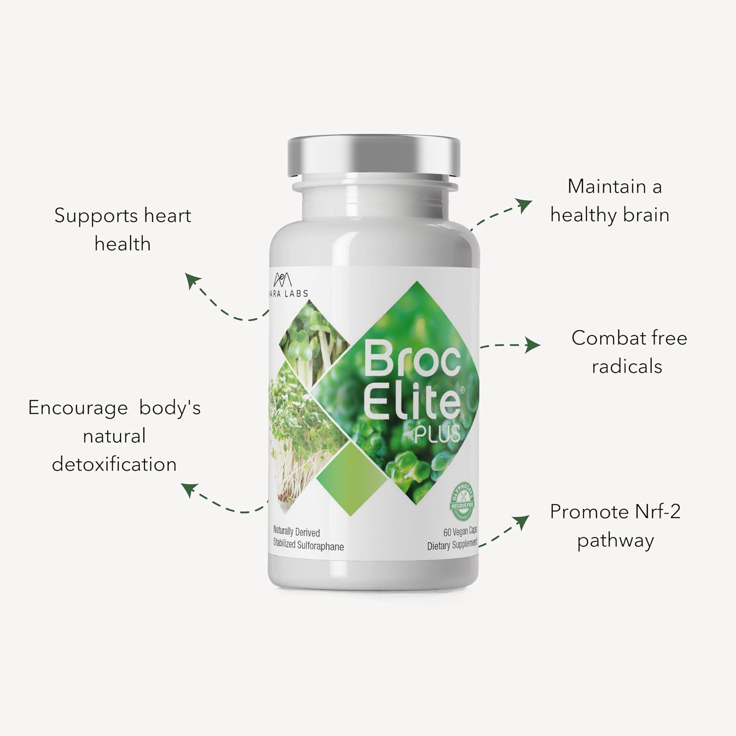 Mara Labs Broc Elite Plus | Broccoli Supplement w/Stabilized Sulforaphane Extract | Zero Glyphosate Residue | 60 Vegetable Capsules