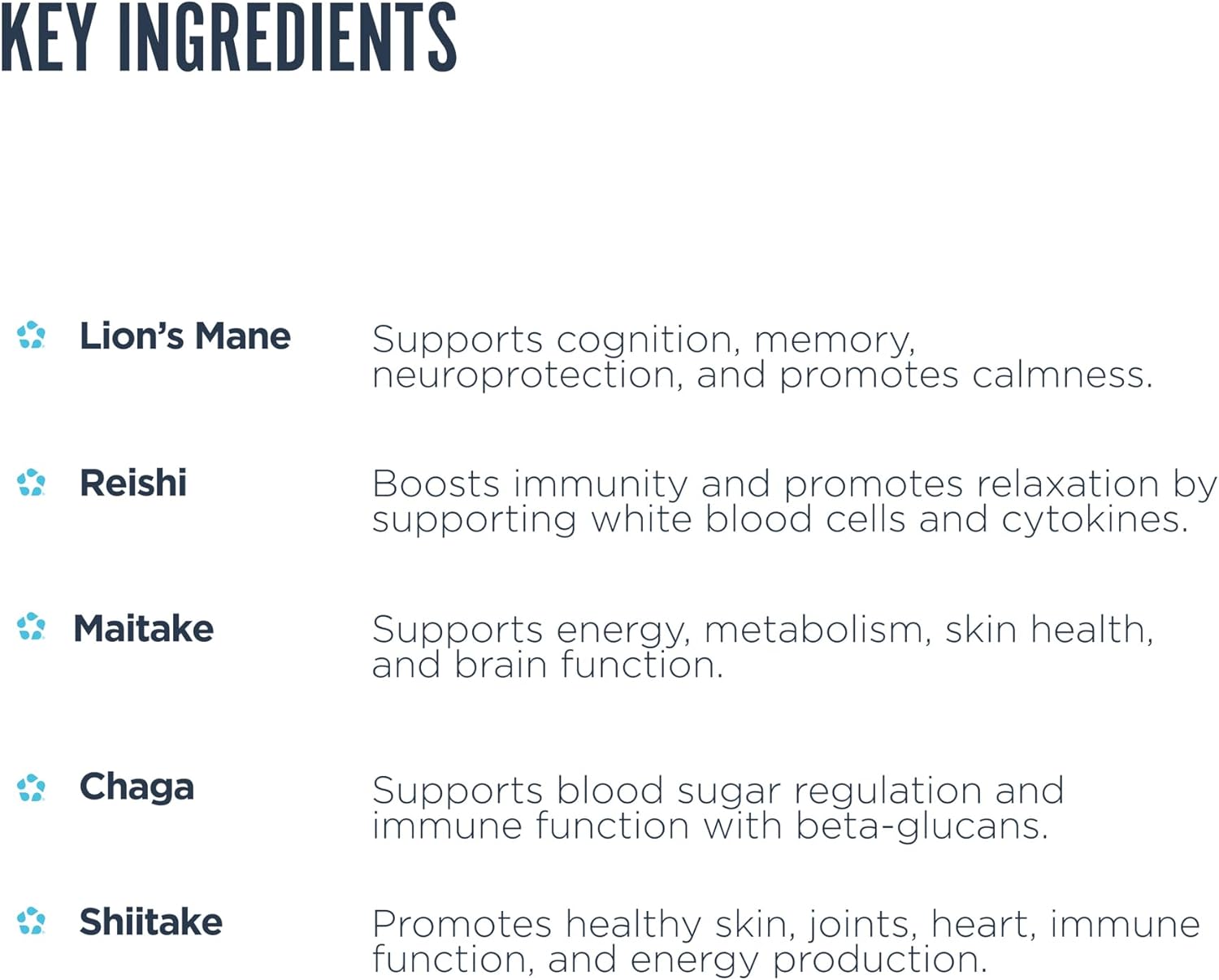 Revive MD Mushroom Powder, Chocolate - Mushroom Supplement Supports Focus, Cognitive, Immune & Brain Health with a Blend of Lion's Mane, Reishi, Chaga, Shiitake & Maitake - Gluten-Free - 30 Servings