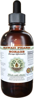 Borage Alcohol-Free Liquid Extract, Borage (Borago Officinalis) Dried Flower and Herb Glycerite Hawaii Pharm Natural Herbal Supplement 4 oz