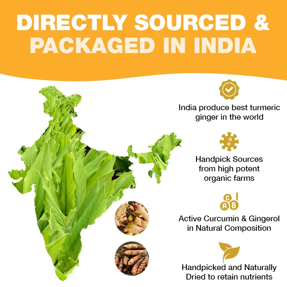 HANDPICK, Organic Turmeric Ginger Tea (100 Tea Bags) | Authentic Indian Origin | Caffeine Free, Gluten Free, Non-GMO | 100% Pure Herbal Blend - Savory & Spicy I Ecofriendly round tea bags