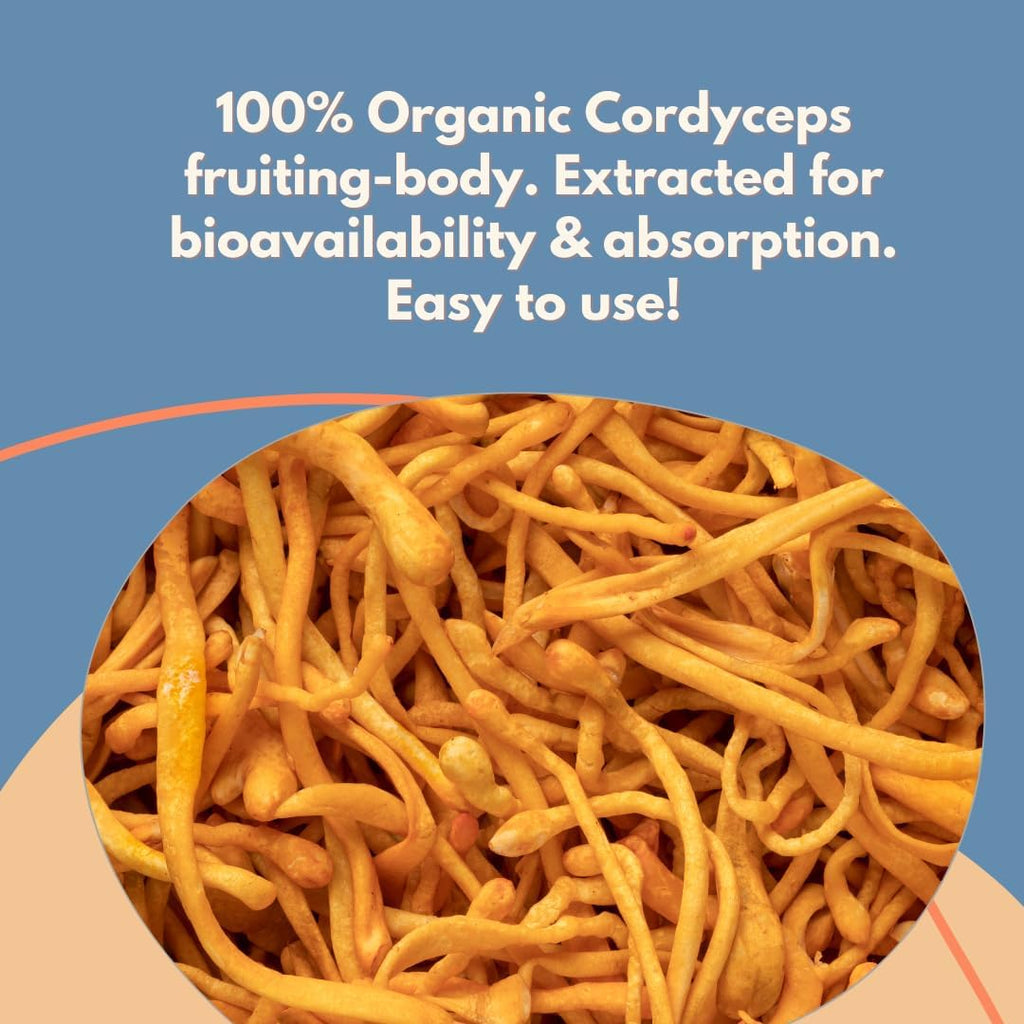 Malama Organic Mushroom Hot Cacao Mix, Cordyceps Mushroom Powder with Fair Trade Cacao, Supports Energy & Immune Health – Vegan Supplement & Superfood, Non GMO, 3.5 oz (50 Servings)