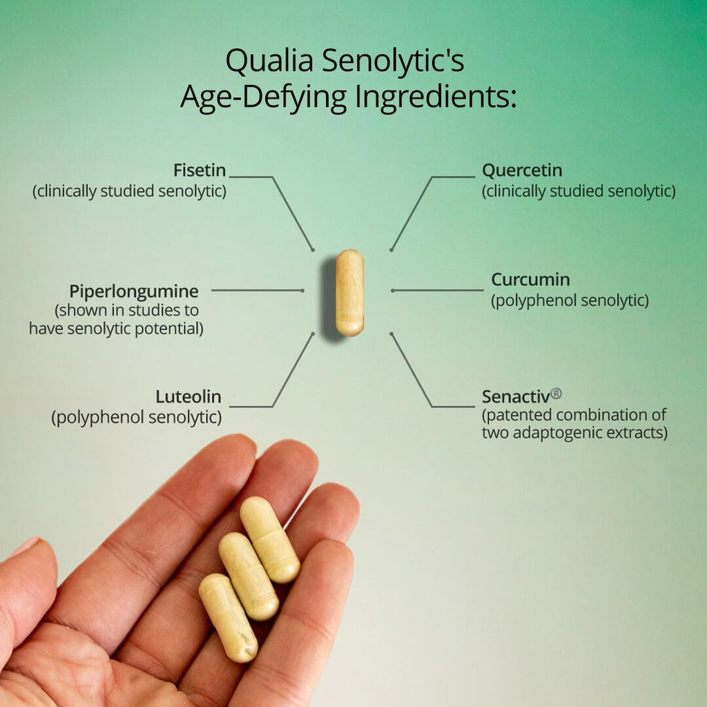 NEUROHACKER COLLECTIVE Qualia Senolytic Ultimate Formula for Enhanced Cell Repair&Rejuvenation 2-Day Aging&Longevity Support Regimen w. Fisetin,Quercetin, Piperlongumine,Senactiv®,Curcumin(Pack of 4)
