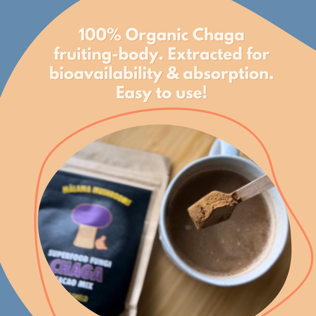Malama Organic Mushroom Hot Cacao Mix, Chaga Mushroom Powder with Fair Trade Cacao for Immune & Antioxidant Support – Vegan Supplement & Superfood, Non GMO, 3.5 oz (50 Servings)