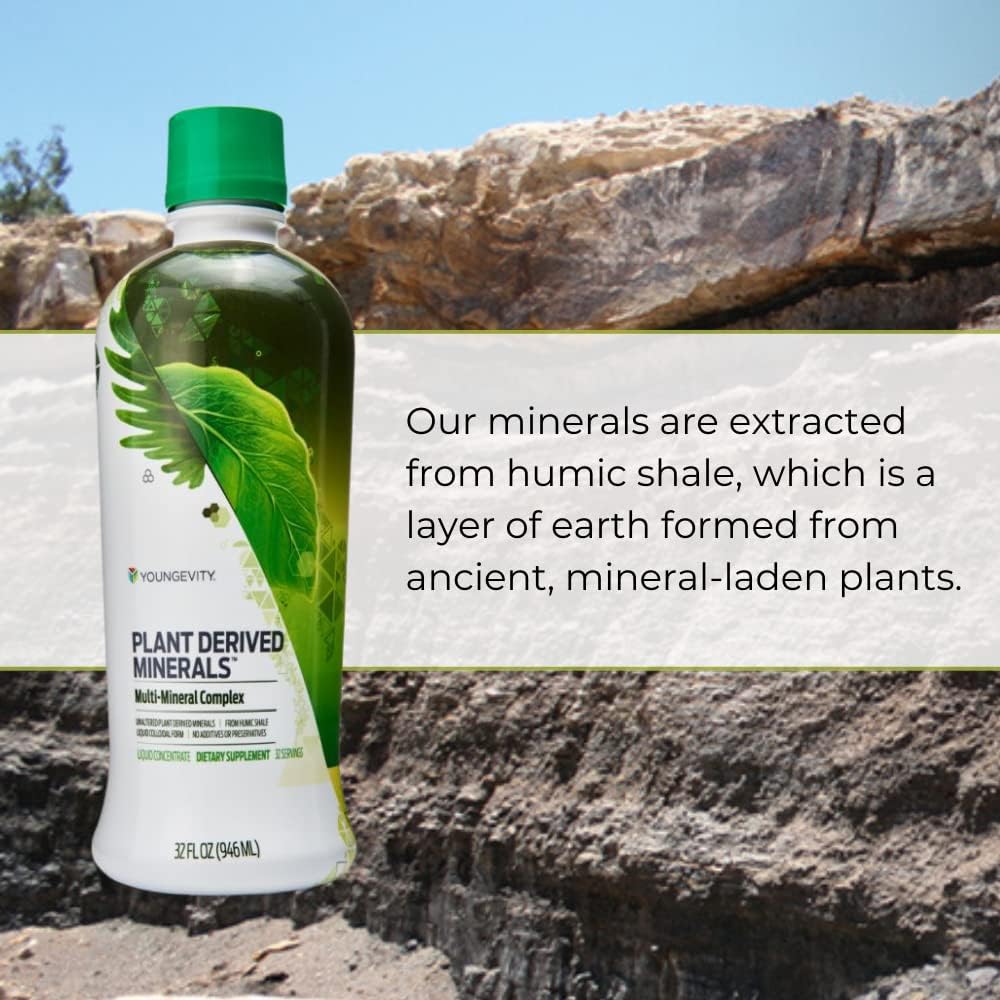 Youngevity Plant Derived Liquid Minerals - 77+ Natural Unaltered Trace Minerals - 19,000mg Plant Mineral Solids - Colloidal Form Humic Shale - (32 oz Pack of 6)