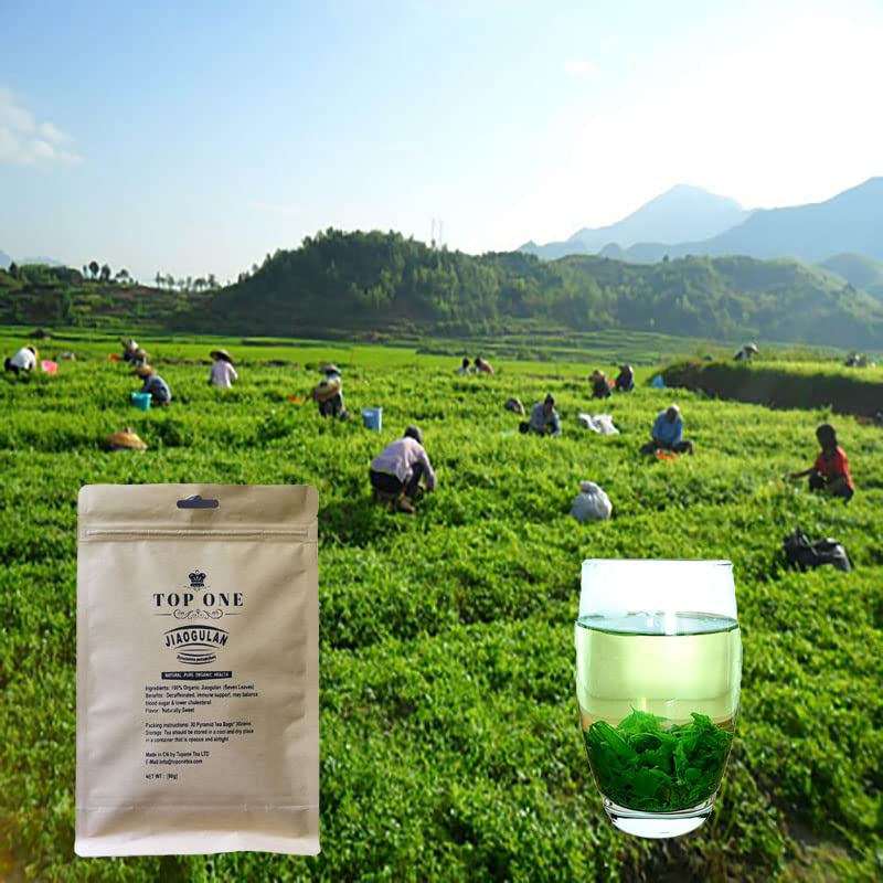 JQ Jiaogulan Herb Tea Loose Leaf Healthy Gynostemma Tea Natural Sweet Stemless Caffeine Free 30 Pyramid Bags
