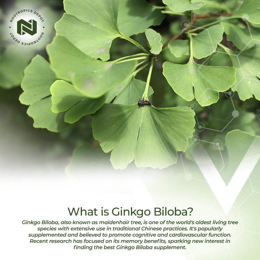 Nootropics Depot Ginkgo Biloba Extract Tablets | 120mg | 90 Count | Minimum 10% Kaempferol Glycoside + 2% Bilobalide | May Help Promote Cognitive & Cardiovascular Function