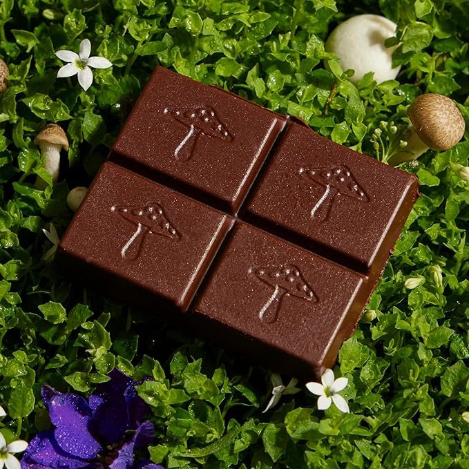 Nightcap 4-Pack | Functional Mushroom Chocolates | Supports Deep Sleep, Calm Mind, Stress Relief | Reishi, Magnesium, Zinc, L-Theanine & Chamomile | Helps to Fall & Stay Asleep