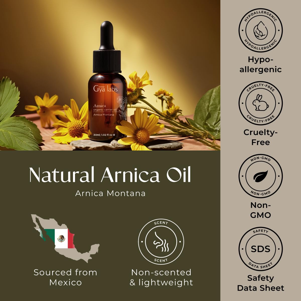 Gya Labs Organic Arnica Oil - 100% Pure Natural Arnica Carrier Oil for Skin, Massage, Aromatherapy & Soothing (1 Fl Oz)