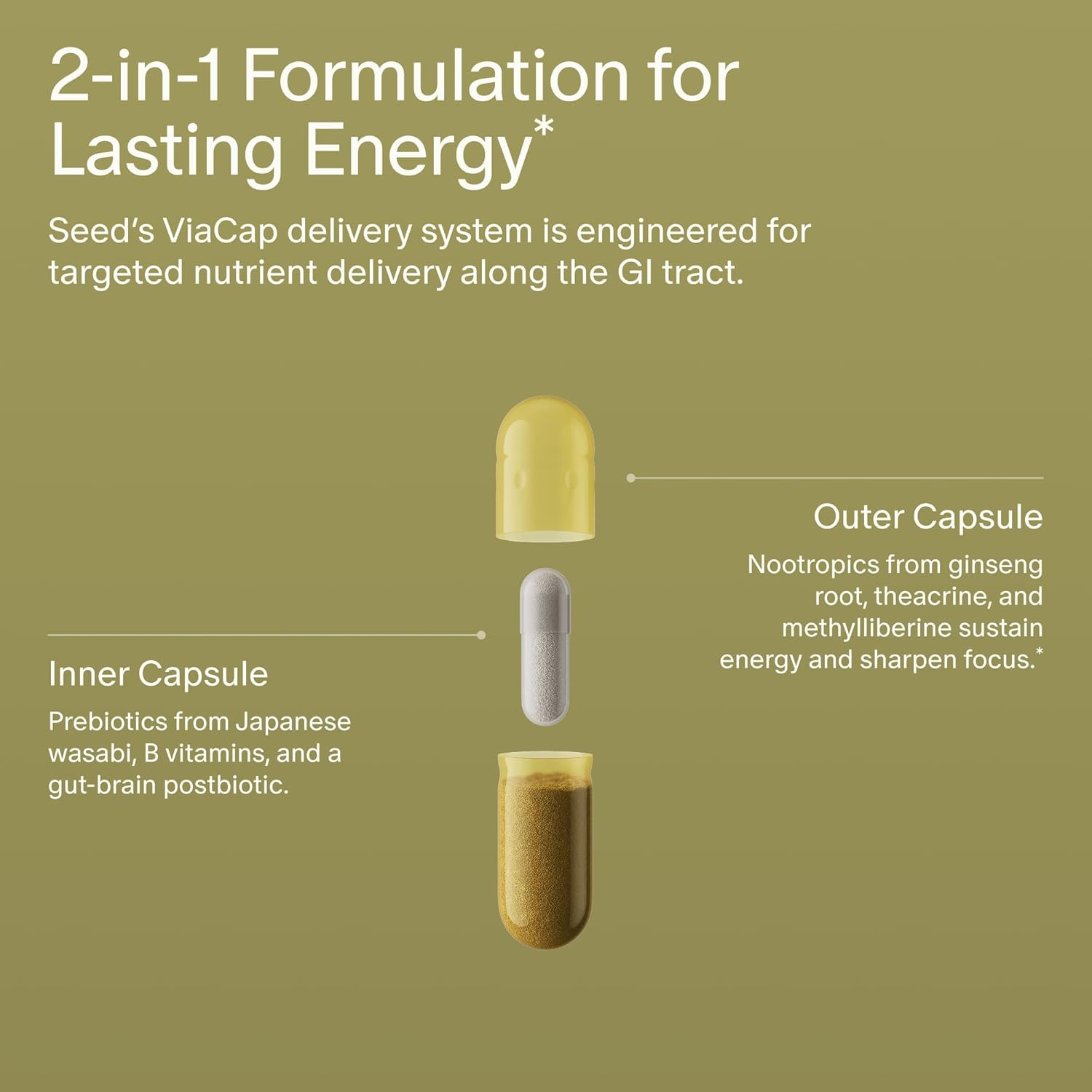 Seed AM-02 Energy + Focus - Daily Nootropic Supplement for Women & Men - Fast-Acting & Sustained Energy for Up to 6 Hours - Caffeine-Free Vegan & Shelf-Stable - 30 Capsules (30-Day Supply)