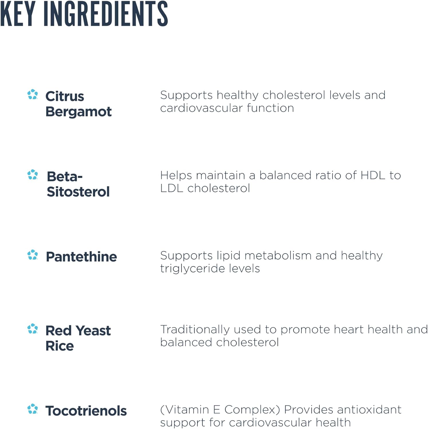 Revive MD Lipid Support Formula - Supplement Helps Maintain Healthy Cholesterol Levels, Endothelial Health & Triglyceride Levels - Beta Sitosterol, Citrus Bergamot & Pantethine