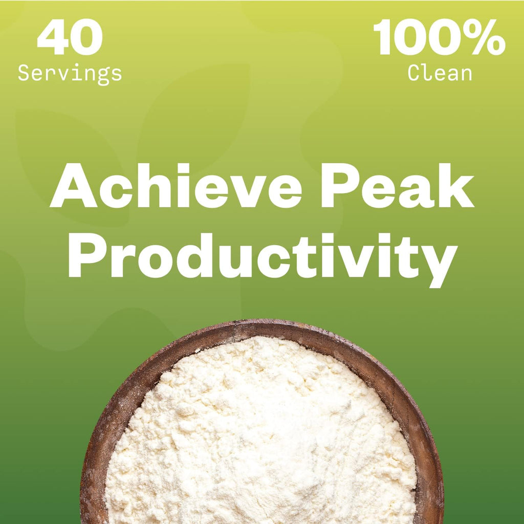 CDP Choline Powder, 10g, CDP Choline Supplements That Support Attention, Focus, and Energy, Citicoline Powder for Cognitive Function, Increases Motivation and Productivity, 40 Servings