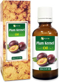 Salvia Plum Kernel Oil (Prunus domestica) 100% Natural & Pure Undiluted Uncut Carrier Oil for Skin & Hair Perfect for Aromatherapy Therapeutic Grade - (30 ML)