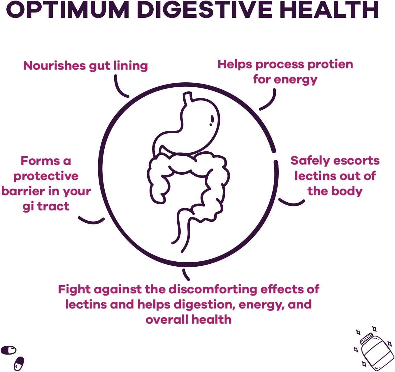GOBIOTIX Lectin Defense - Lectin Blocker Supplement for Leaky Gut with MSM and Digestive Enzymes - Aids in Intestinal Health for Women and Men - Non-GMO + Gluten Free - 60 Capsules (1)