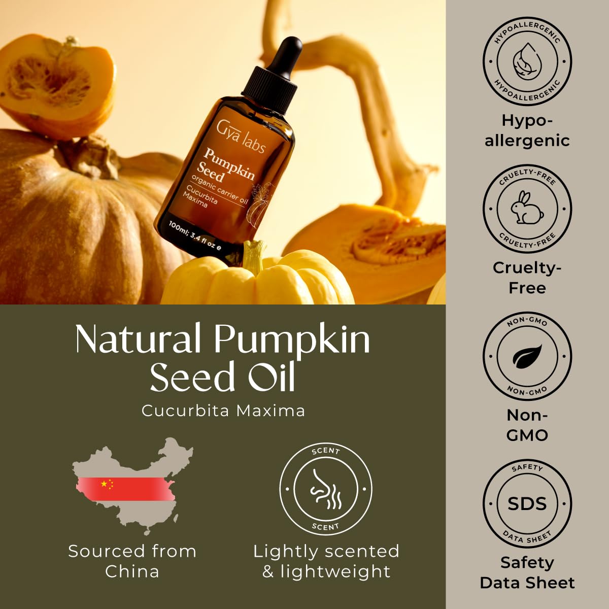 Gya Labs Organic Pumpkin Seed Oil for Hair - 100% Pure Natural Unrefined Pumpkin Carrier Oil for Skin, Face - Nourishing & Strengthening (3.4 Fl Oz)