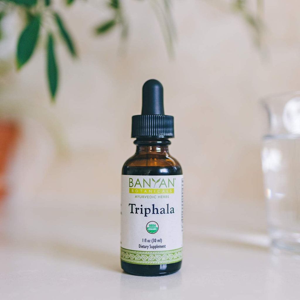 Banyan Botanicals Triphala Liquid Herbal Extract – Organic Triphala Extract with Amla, Haritaki & Bibhitaki – for Daily Detox, Regularity & Rejuvenation* – 1oz. – Non-GMO Sustainably Sourced Vegan