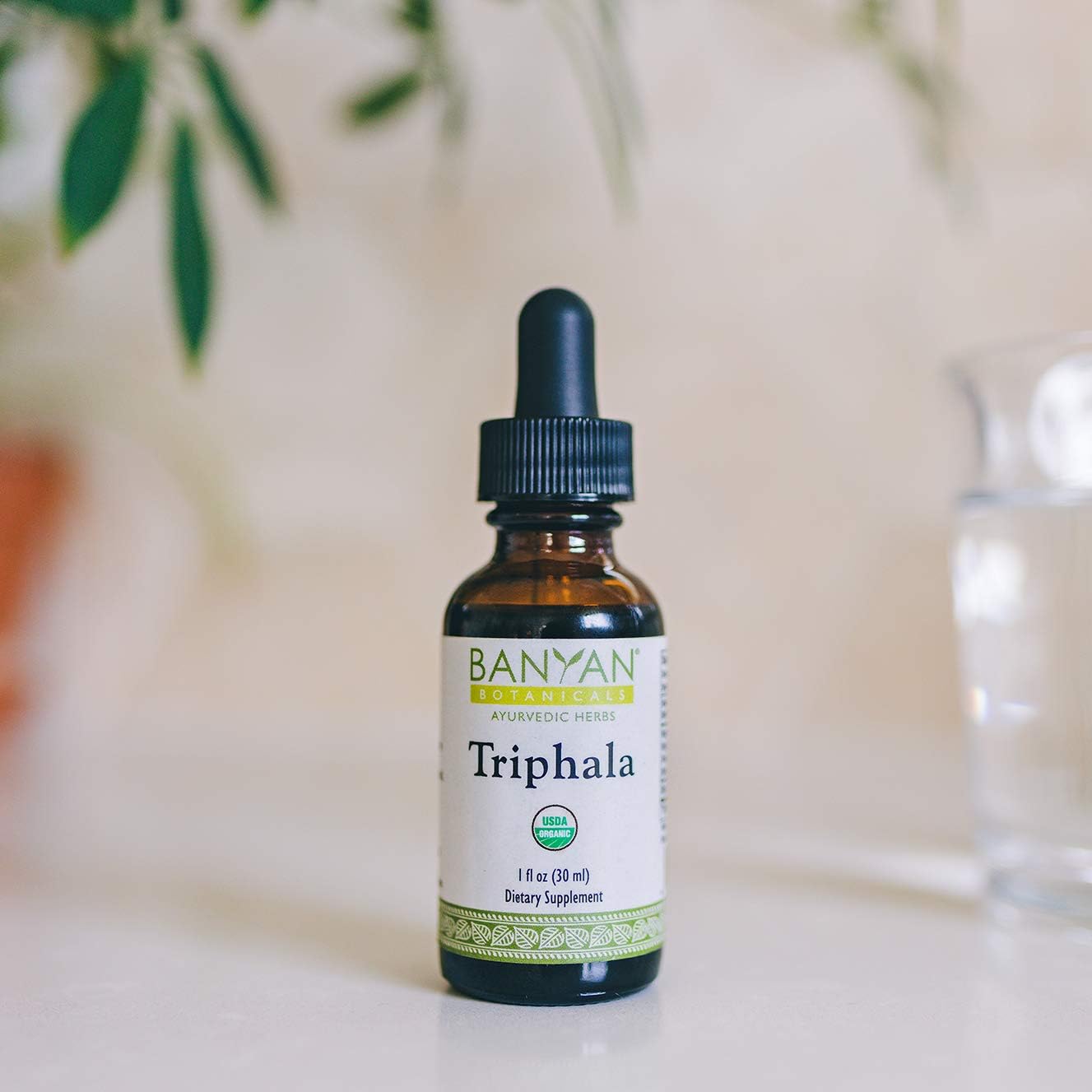 Banyan Botanicals Triphala Liquid Herbal Extract – Organic Triphala Extract with Amla, Haritaki & Bibhitaki – for Daily Detox, Regularity & Rejuvenation* – 1oz. – Non-GMO Sustainably Sourced Vegan