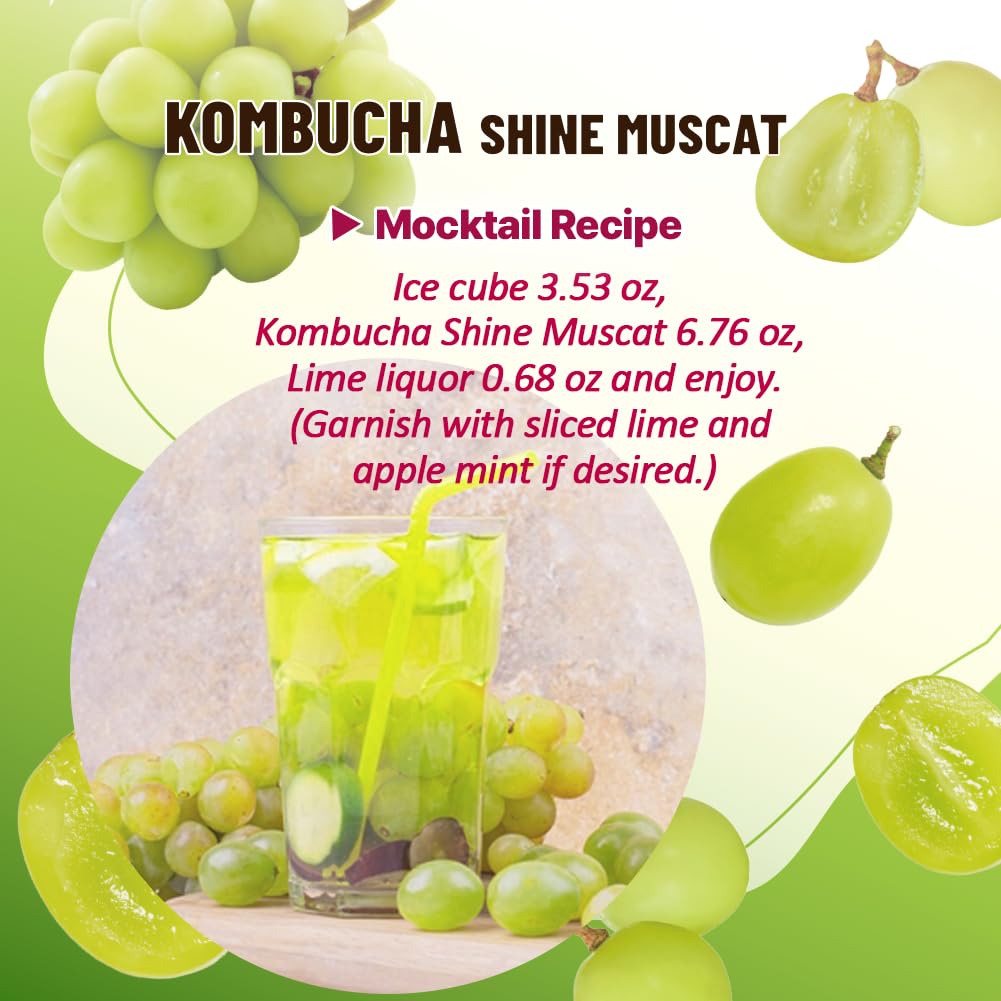 KAYFOOD Garden Daily Shinemuscat Kombucha Tea Powdered Mix, Probiotics & Prebiotics, Zero Sugar, Diet, Healthy Fermented Drinks Korea (20ST)